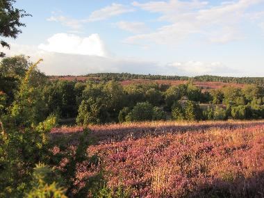 Holiday House in bispingen (Lneburger Heide) or holiday homes and vacation rentals