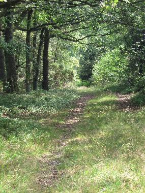 Holiday House in bispingen (Lneburger Heide) or holiday homes and vacation rentals