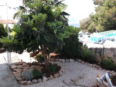 Holiday House in primosten (Sibensko-Kninska) or holiday homes and vacation rentals