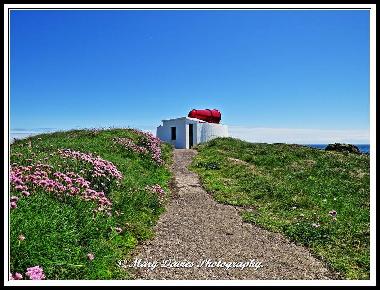 Holiday House in Isle of Man (North West) or holiday homes and vacation rentals