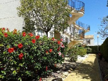 Holiday Apartment in Orihuela Costa (Alicante / Alacant) or holiday homes and vacation rentals