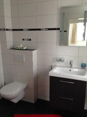 Holiday Apartment in Fiesch (Aletsch) or holiday homes and vacation rentals