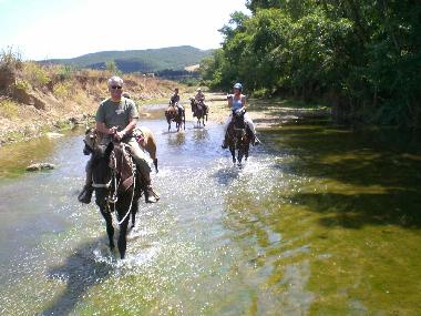 Holiday Apartment in Tarquinia (Viterbo) or holiday homes and vacation rentals