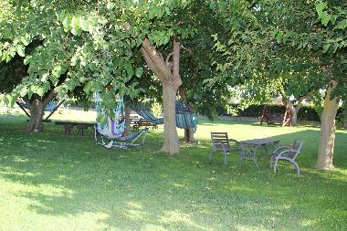 Holiday Apartment in Tarquinia (Viterbo) or holiday homes and vacation rentals