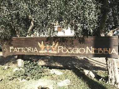 Holiday Apartment in Tarquinia (Viterbo) or holiday homes and vacation rentals