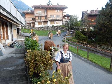 Holiday Apartment in Wengen (Wengen - Jungfrau) or holiday homes and vacation rentals