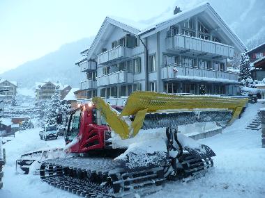 Holiday Apartment in Wengen (Wengen - Jungfrau) or holiday homes and vacation rentals