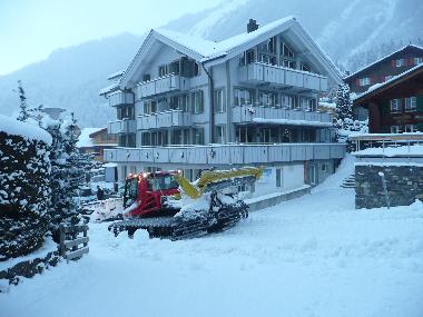 Holiday Apartment in Wengen (Wengen - Jungfrau) or holiday homes and vacation rentals