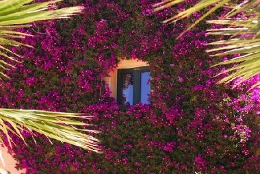 Holiday House in Ghasri (Gozo) or holiday homes and vacation rentals