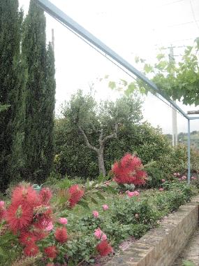 Holiday House in Mosciano S.Angelo (Teramo) or holiday homes and vacation rentals