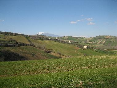 Holiday House in Mosciano S.Angelo (Teramo) or holiday homes and vacation rentals