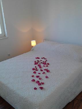 Holiday Apartment in Pakostane (Zadarska) or holiday homes and vacation rentals