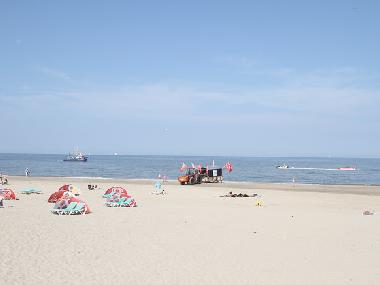 Holiday Apartment in Zandvoort (Noord-Holland) or holiday homes and vacation rentals