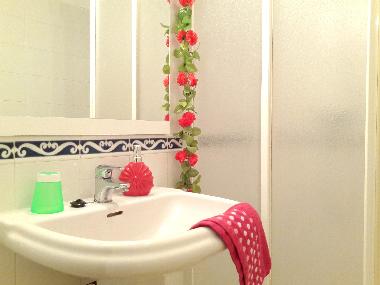 bathroom with shower, hairdryer, towels, shampoo