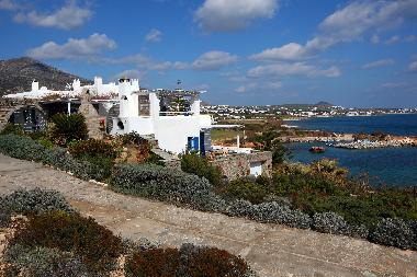 Villa in Drios (Kyklades) or holiday homes and vacation rentals