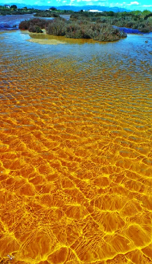 Holiday House in Deltebre/Riumar (Tarragona) or holiday homes and vacation rentals