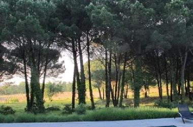 Villa in Gassin (Alpes-Maritimes) or holiday homes and vacation rentals