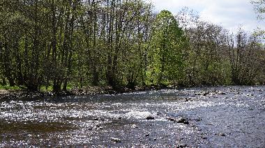 Holiday House in Lapeyrouse (Puy-de-Dme) or holiday homes and vacation rentals