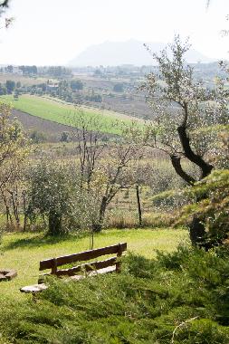 Bed and Breakfast in Rimini (Rimini) or holiday homes and vacation rentals