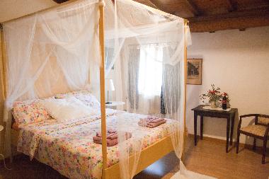 Bed and Breakfast in Rimini (Rimini) or holiday homes and vacation rentals