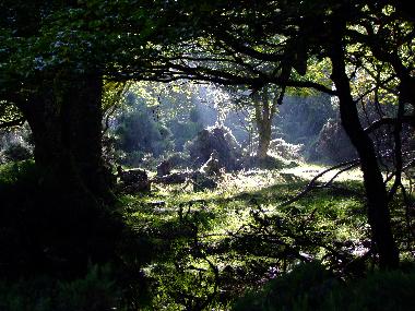 Holiday House in pigueces (Asturias) or holiday homes and vacation rentals