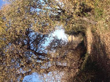 Holiday House in Mosciano S.Angelo (Teramo) or holiday homes and vacation rentals