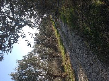 Holiday House in Mosciano S.Angelo (Teramo) or holiday homes and vacation rentals