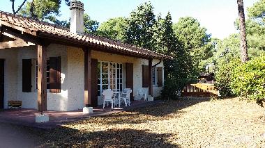 Holiday House in lacanau-ocean (Gironde) or holiday homes and vacation rentals