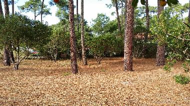 Holiday House in lacanau-ocean (Gironde) or holiday homes and vacation rentals