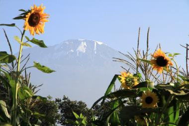 Mount Kilimanjaro