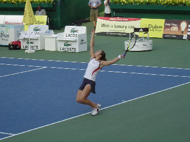 Holiday Apartment in LES CARROZ d