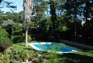 Bed and Breakfast in Punta del Este (Maldonado) or holiday homes and vacation rentals