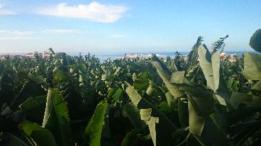 Holiday House in Puerto Naos (La Palma und El Hierro) or holiday homes and vacation rentals