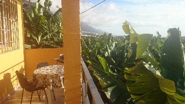 Holiday House in Puerto Naos (La Palma und El Hierro) or holiday homes and vacation rentals