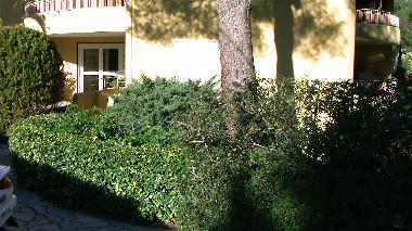 Holiday Apartment in cavalaire sur mer (Var) or holiday homes and vacation rentals