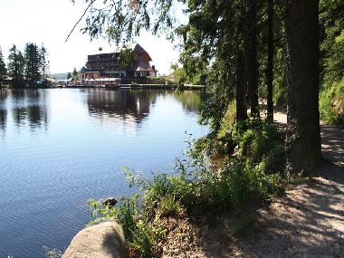 Holiday Apartment in Bad Peterstal Griesbach (Black Forest) or holiday homes and vacation rentals