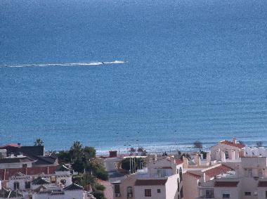 Holiday Apartment in Torrevieja (Alicante / Alacant) or holiday homes and vacation rentals