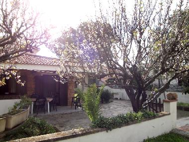 Villa in San Teodoro (Olbia-Tempio) or holiday homes and vacation rentals