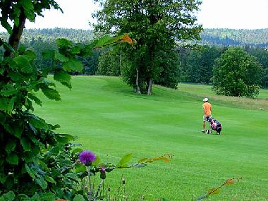 Holiday Apartment in Zachenberg (Lower Bavaria) or holiday homes and vacation rentals