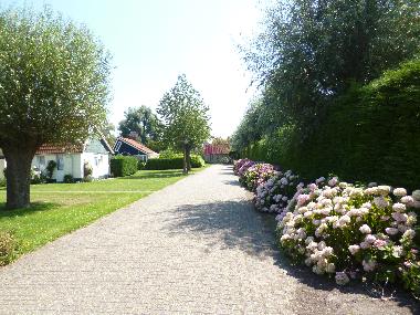 Holiday House in Stellendam (Zuid-Holland) or holiday homes and vacation rentals