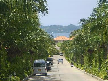 Road to the beach
