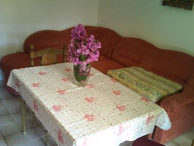 Holiday Apartment in Orebic (Dubrovacko-Neretvanska) or holiday homes and vacation rentals