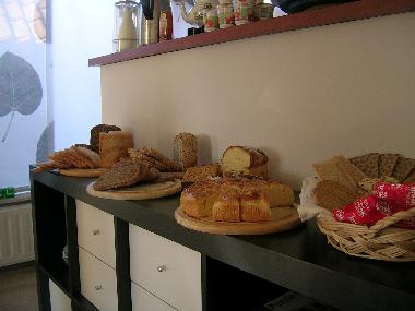 Bed and Breakfast in Dreischor (Zeeland) or holiday homes and vacation rentals