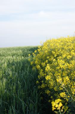 Holiday House in Walcourt (Wallonia) or holiday homes and vacation rentals