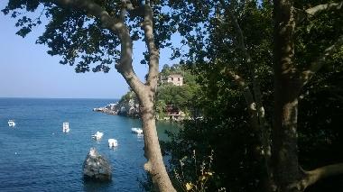 Holiday House in Mouresi (Magnisia) or holiday homes and vacation rentals