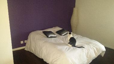 Villa in viriat (Ain) or holiday homes and vacation rentals