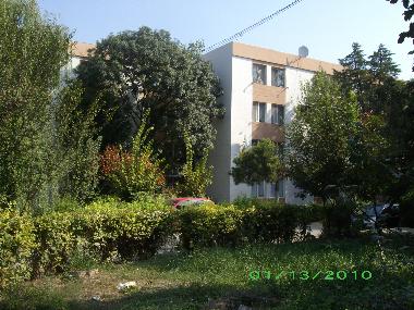 Garden outside the house