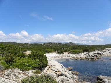 Holiday Apartment in Arzachena (Olbia-Tempio) or holiday homes and vacation rentals