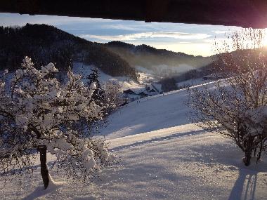 Holiday House in B�retswil (Z�rich) or holiday homes and vacation rentals