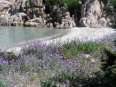 Holiday House in San Teodoro (Sassari) or holiday homes and vacation rentals